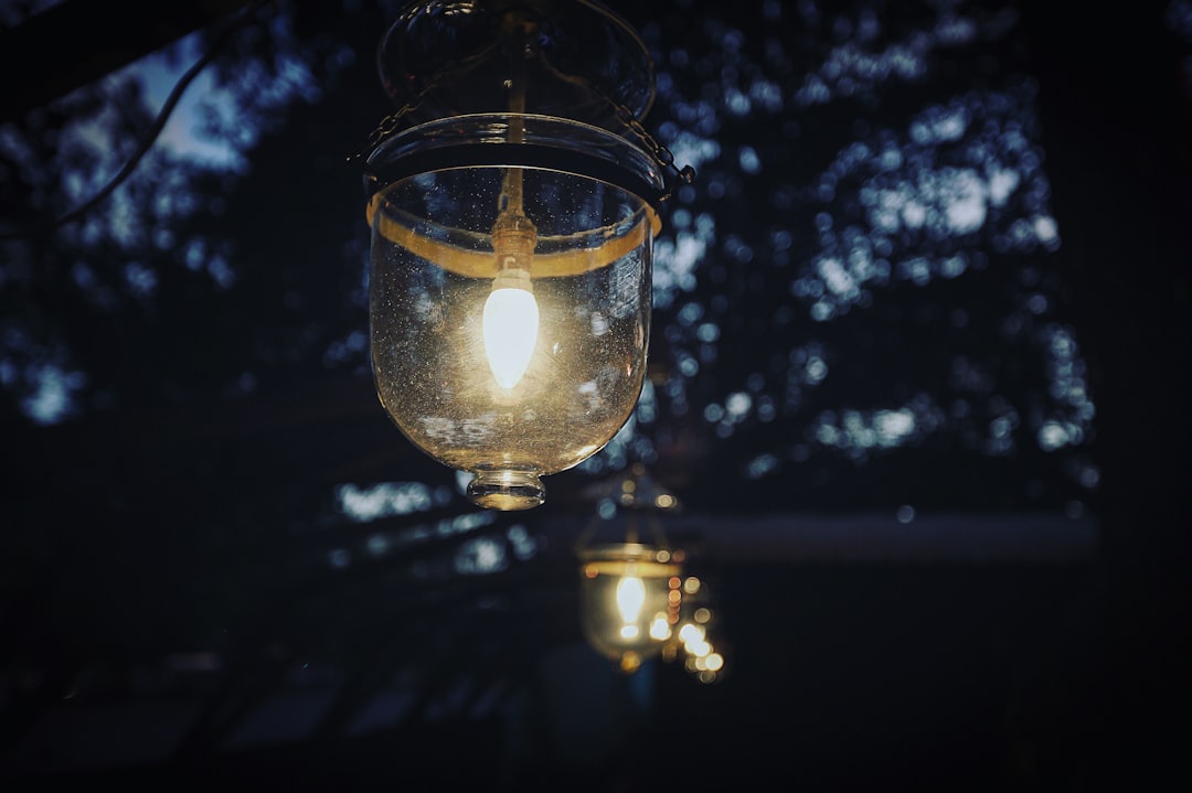 Photo Japanese tree branch ball table lamp